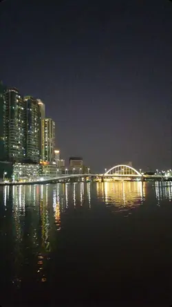 Night City Vibes