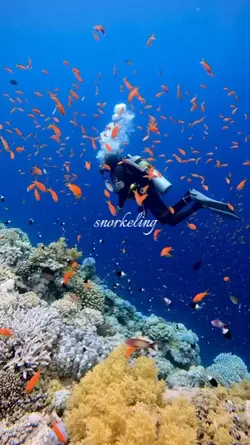 snorkeling