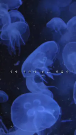 새벽,