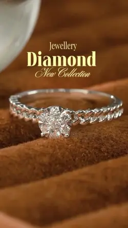 New Collection