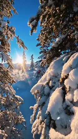 winter vlog