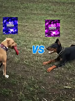 Viral Template
