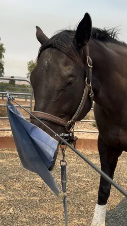 smokeyyyy