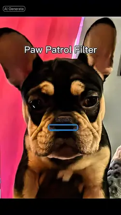 PAW Patrol