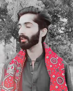 Sindhi Shary
