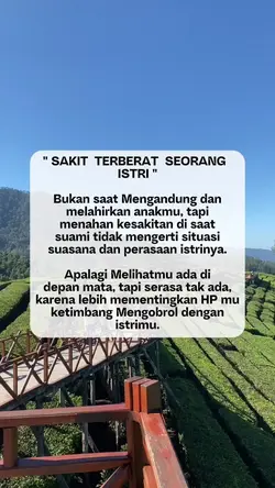 Seorang istri 