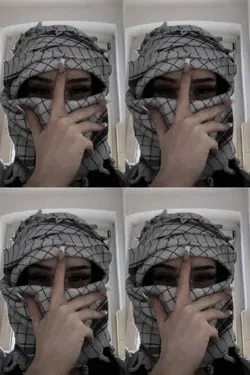 habibi
