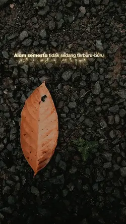 alam semesta....