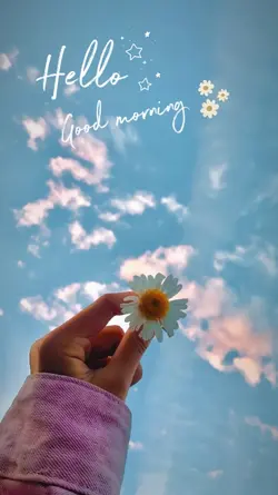 Hello good morning 