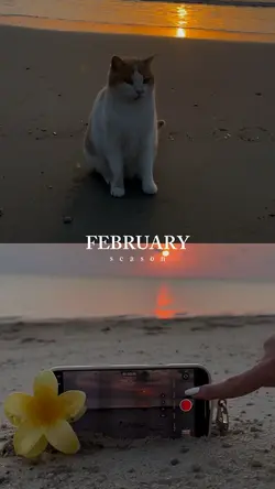 February moments