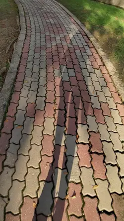 random things 