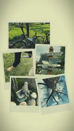5 pict polaroid