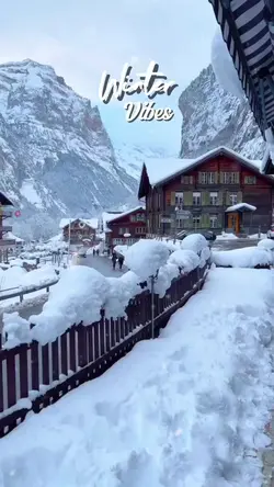 Winter Vibes