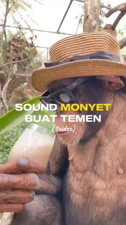sound monyet meme
