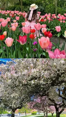 Hello spring 
