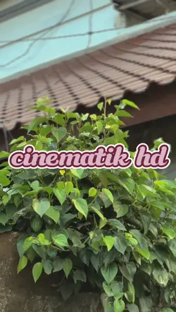 cinematik hd