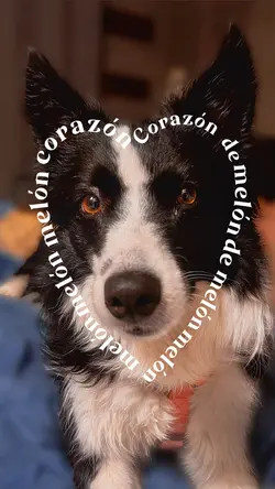 Corazón de melón 