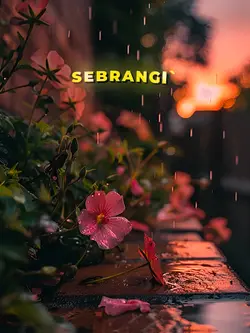 DJ Sekti