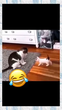 Voice Over Pets