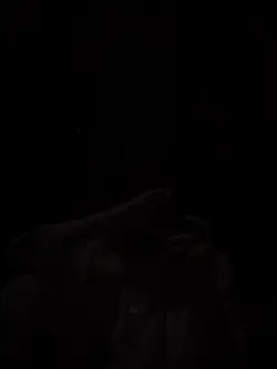Remix 