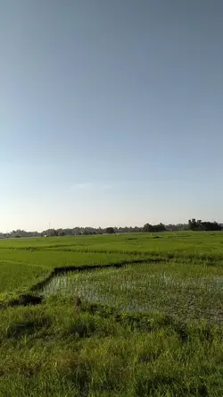 MY PROVINCE