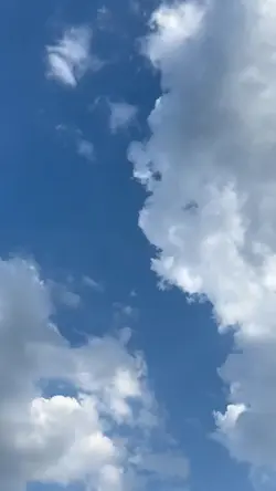 arabic song 