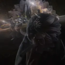 🌌