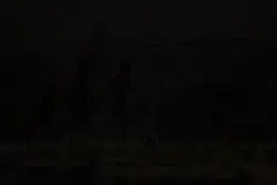 ic