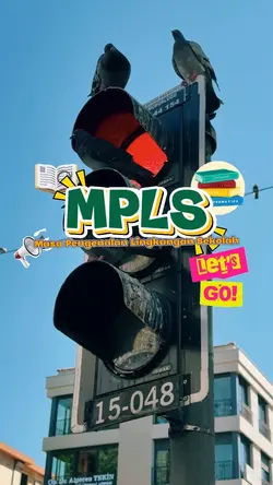 MPLS