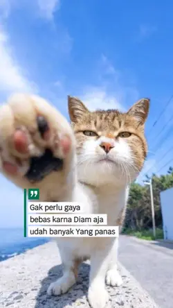ngk perlu gaya