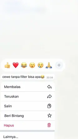 versi nomiror