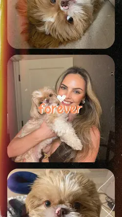 My pet❤️