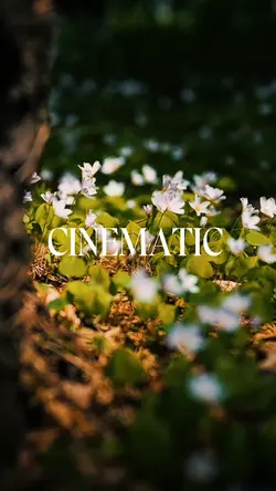 CINEMATIC