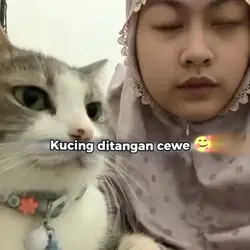 aku ruok laa