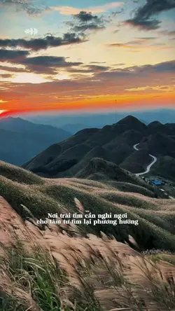 Nơi trái tim cần 