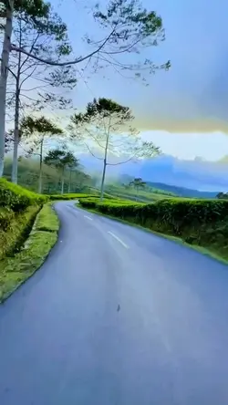 6 video road trip