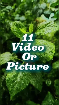 11 video new templat