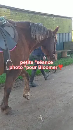 séance photo 