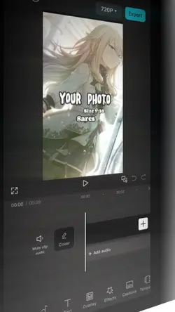 写真三枚！