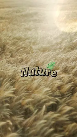 Nature Vibes 