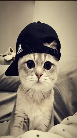trend 