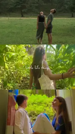 Little Life Things