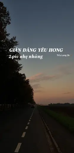 gián đáng yêu hong 