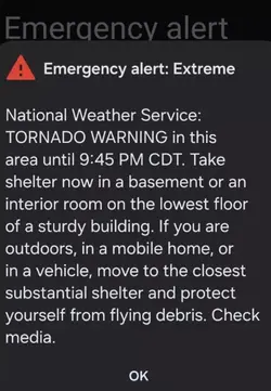alert
