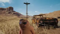 Bear Angry Meme