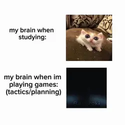 Studying VS. Gaming