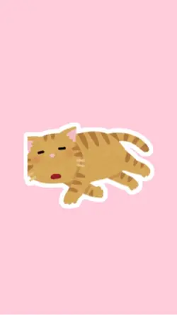 Co'COON ウォーシーファニー