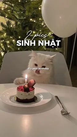 SINH NHẬT
