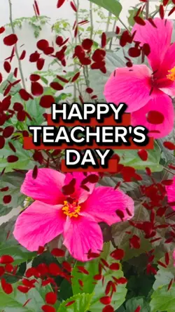 Thank you teacher