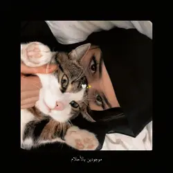 arabic